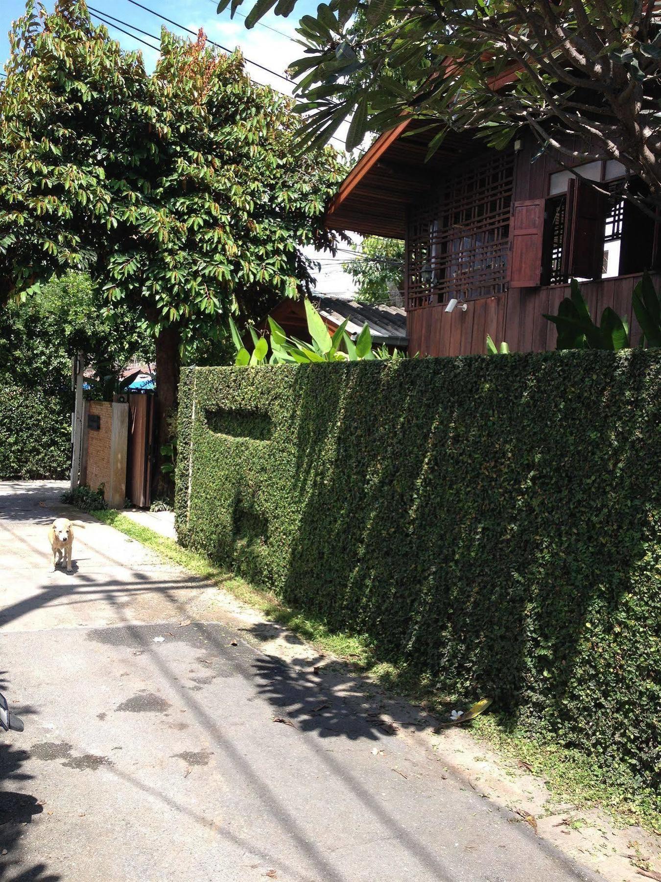 Chiang Maan Residence Chiang Mai Exteriör bild